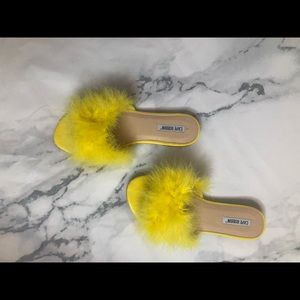 Meet your Posher, Kamryn